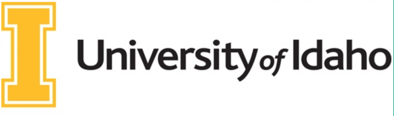 Screen Shot 2020 07 07 at 7.45.33 PM