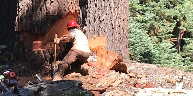 christian 1200x600 1