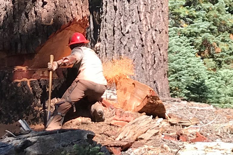 christian 1200x600 1